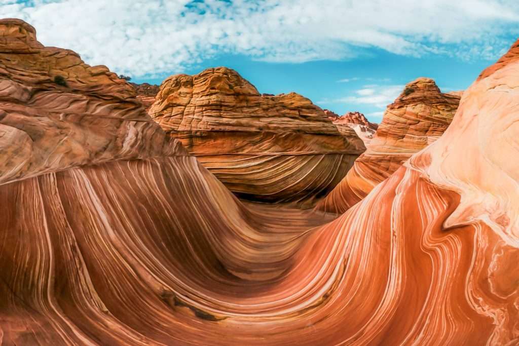 page arizona the wave