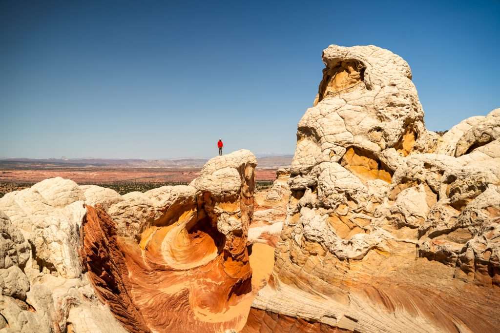 page arizona white pocket