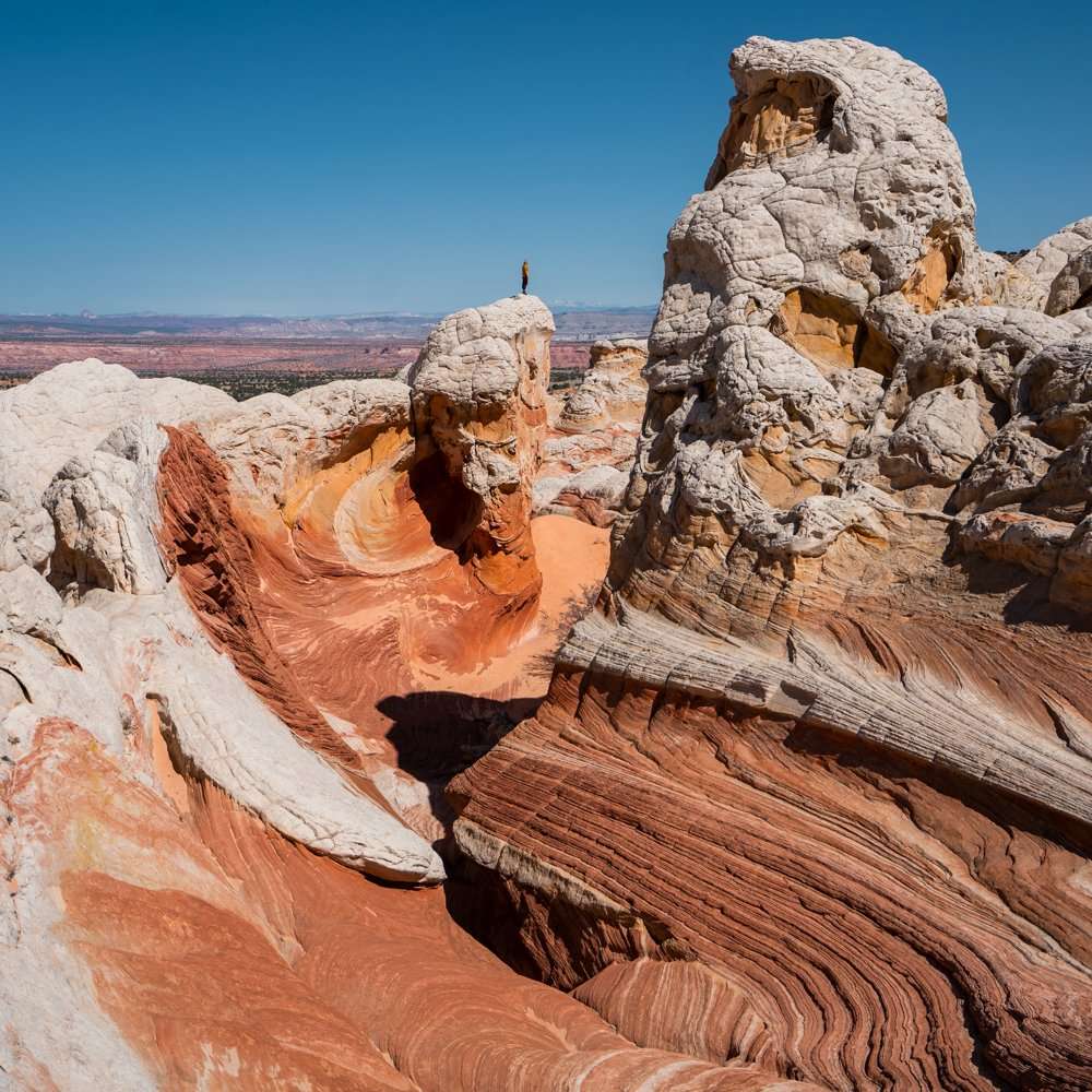 page arizona white pocket